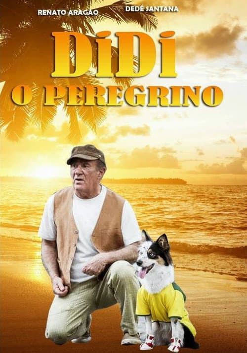 Постер: Didi, o Peregrino