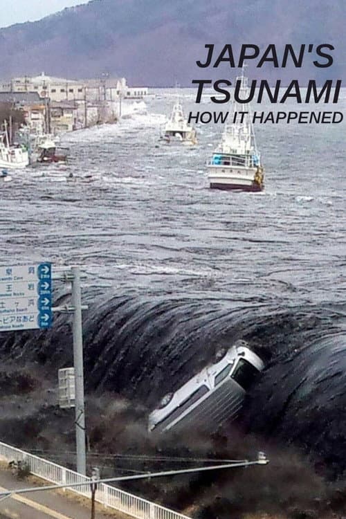 Постер: Japan's Tsunami: How It Happened