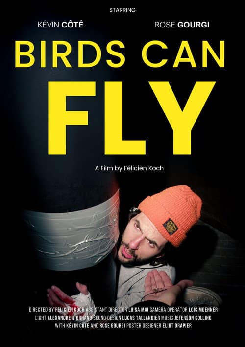 Постер: Birds can fly