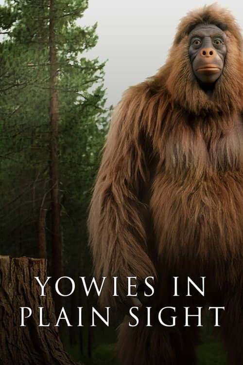 Постер: Yowies in Plain Sight