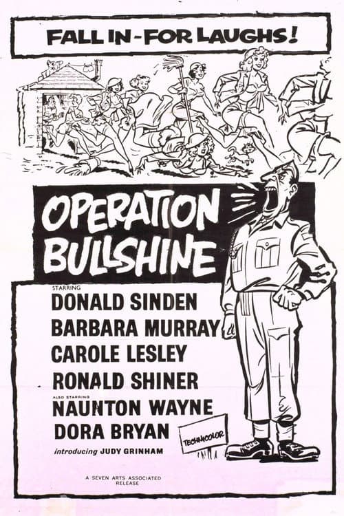Постер: Operation Bullshine