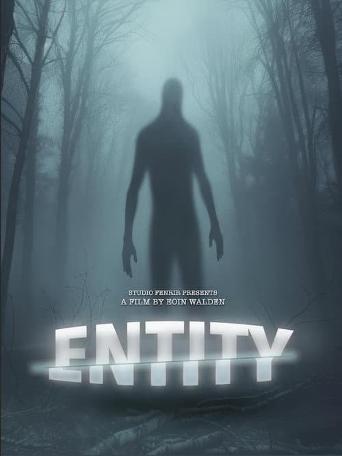 Постер: Entity