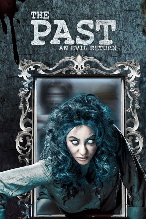 Постер: The Past