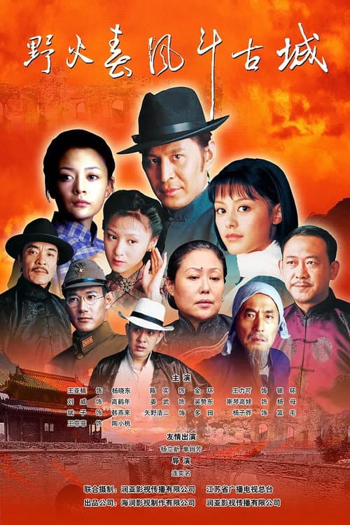 Постер: 野火春风斗古城