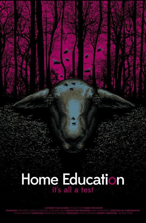 Постер: Home Education