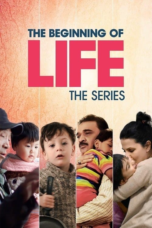 Постер: O Começo da Vida, Série