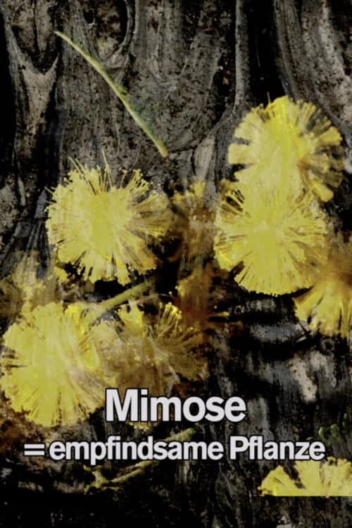 Постер: Mimosa Tank: A Prologue for a Film