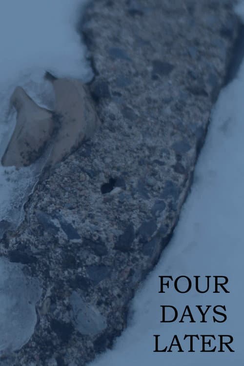Постер: FOUR DAYS LATER