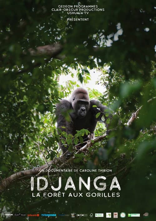 Постер: Idjanga, la forêt aux gorilles