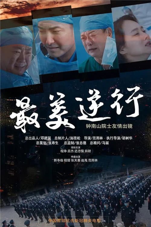 Постер: 最美逆行