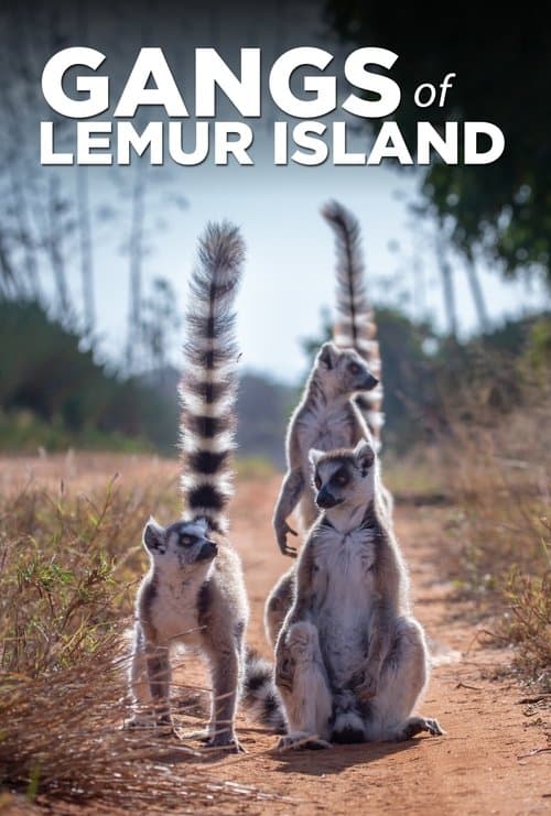 Постер: Gangs of Lemur Island