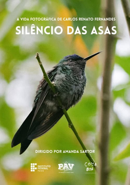 Постер: Silêncio das Asas