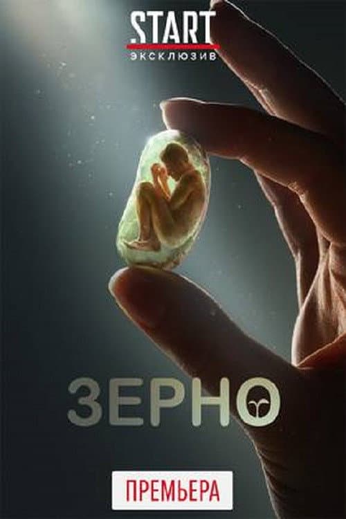 Постер: Зерно