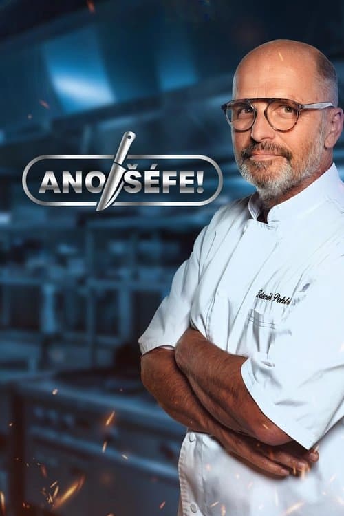 Постер: Ano, šéfe!
