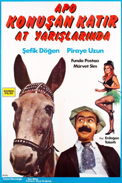 Постер: Apo Konuşan Katır At Yarışlarında