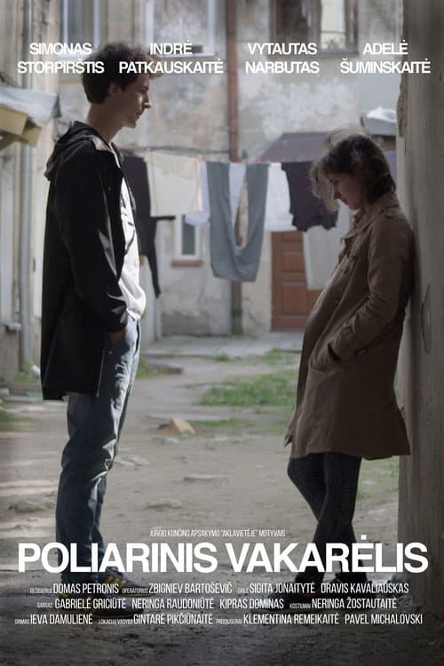 Постер: Poliarinis vakarėlis