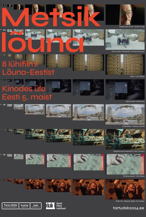 Постер: Metsik lõuna