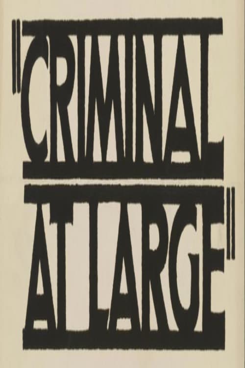 Постер: A Criminal at Large