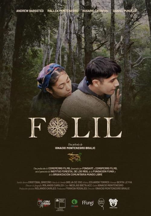 Постер: Folil