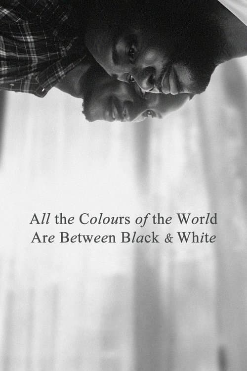 Постер: All the Colours of the World Are Between Black and White