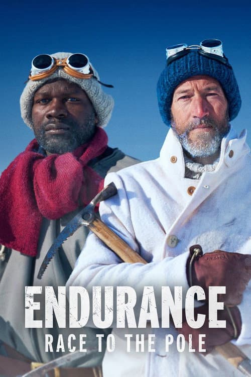 Постер: Endurance: Race to the Pole