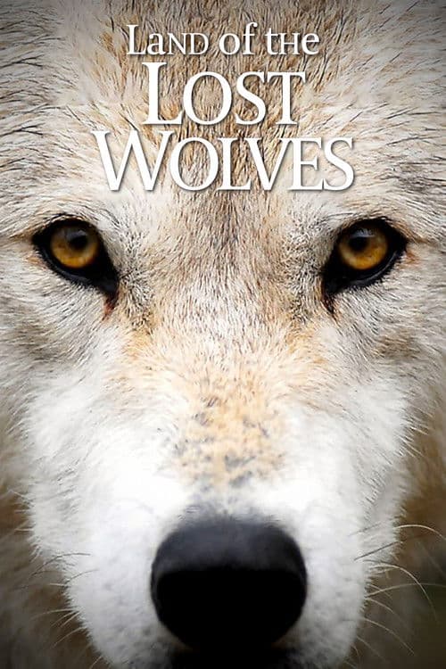 Постер: Land of the Lost Wolves