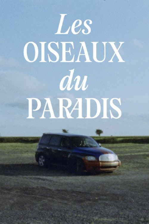 Постер: Les oiseaux du paradis