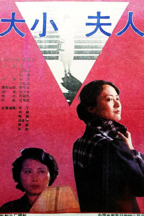 Постер: 大小夫人