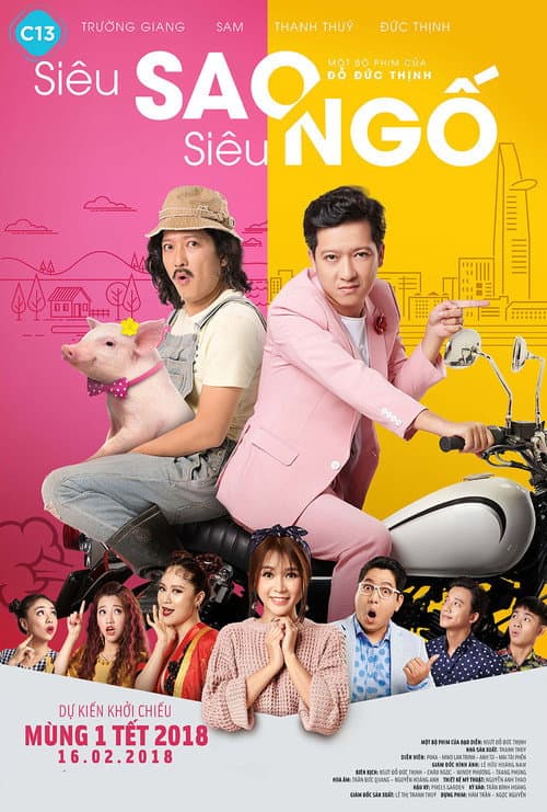 Постер: Siêu Sao Siêu Ngố
