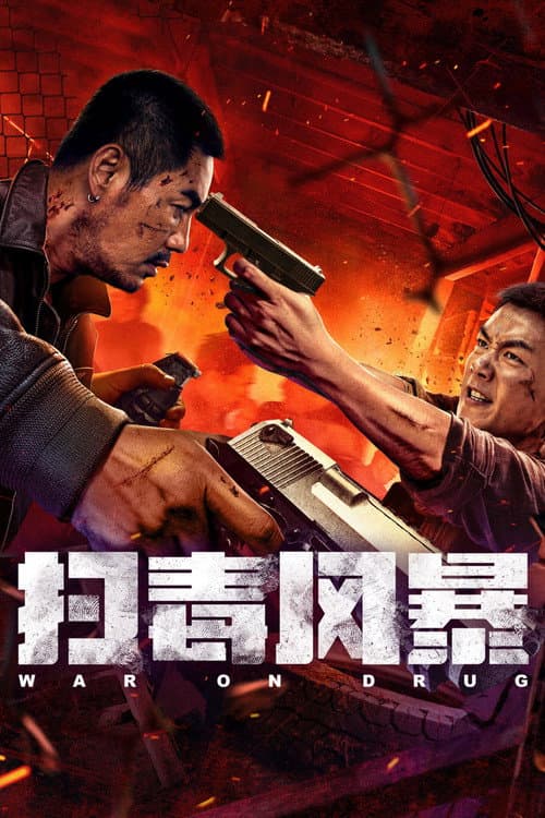 Постер: 扫毒风暴
