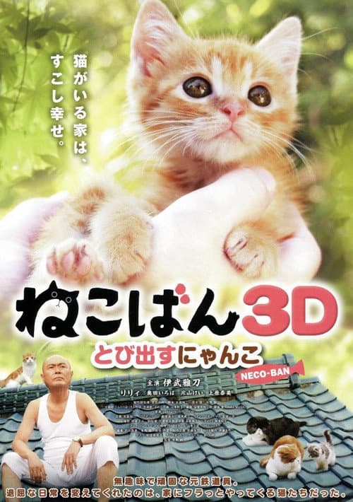 Постер: ねこばん3D とび出すにゃんこ