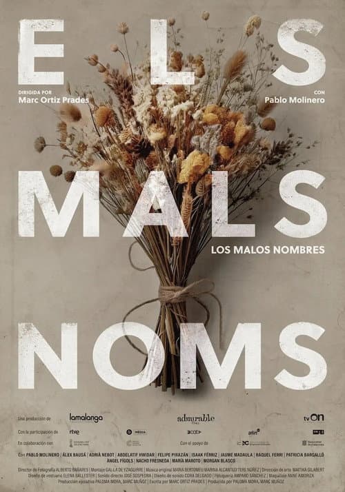Постер: Els mals noms