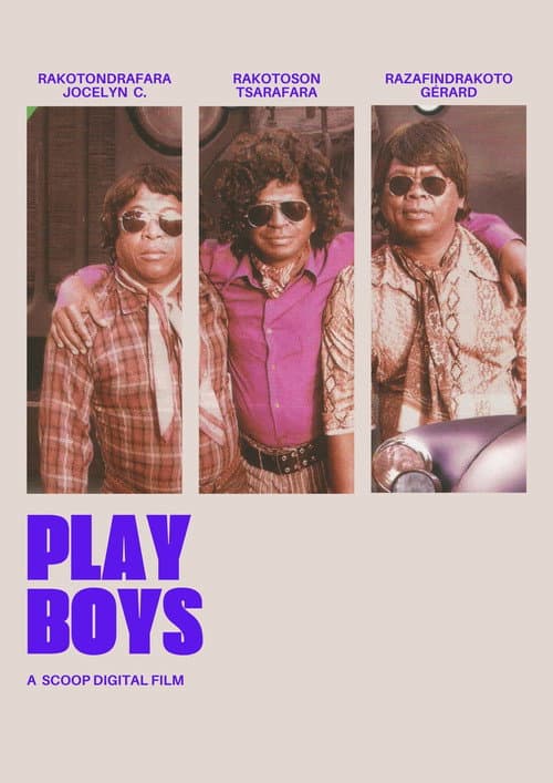 Постер: Play Boys