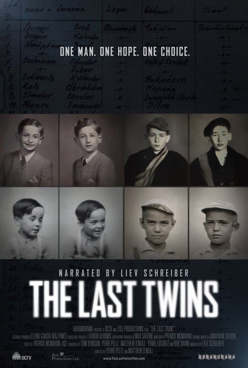 Постер: The Last Twins