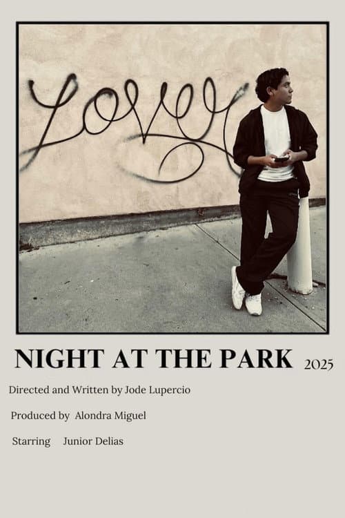 Постер: Night at the Park