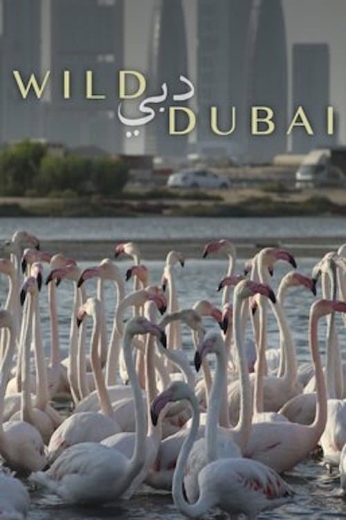 Постер: Wild Dubai