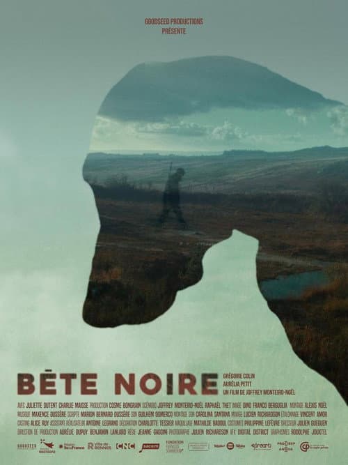 Постер: Bête Noire