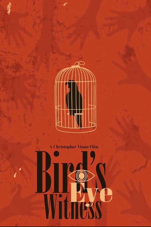 Постер: Bird's Eye Witness