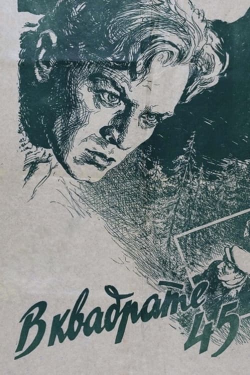 Постер: В квадрате 45