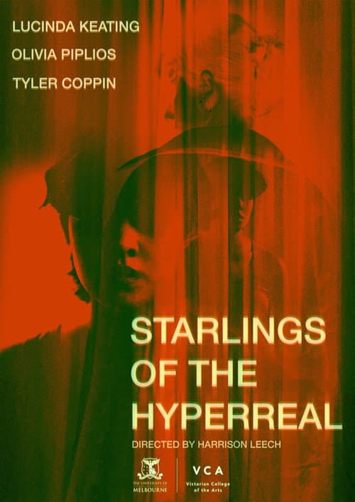 Постер: Starlings of the Hyperreal
