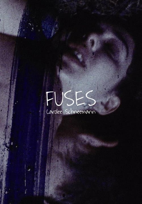 Постер: Fuses