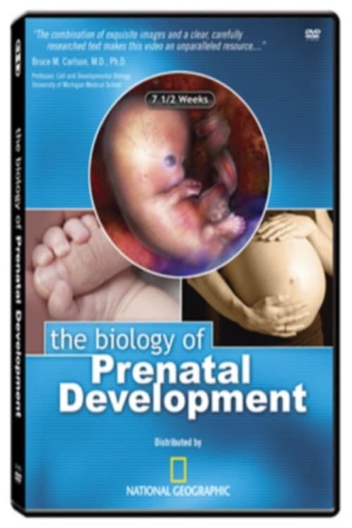 Постер: The Biology of Prenatal Development