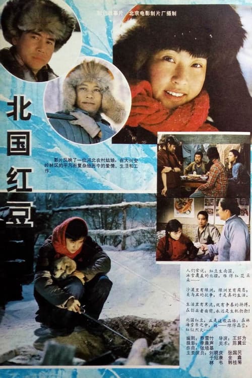 Постер: 北国红豆