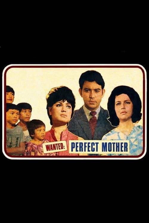 Постер: Wanted: Perfect Mother