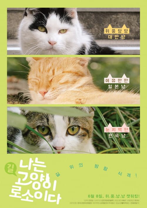 Постер: 나는 고양이로소이다