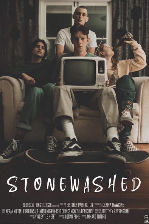 Постер: Stonewashed