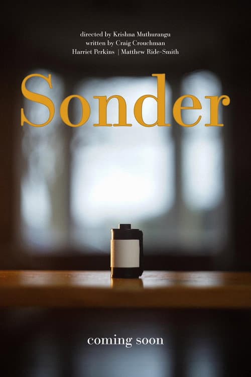 Постер: Sonder