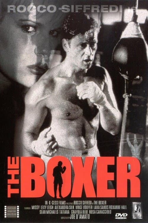 Постер: The Boxer