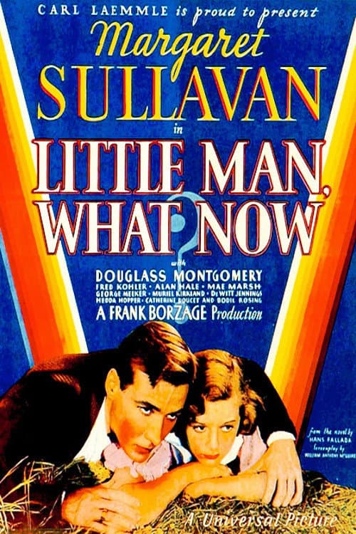 Постер: Little Man, What Now?
