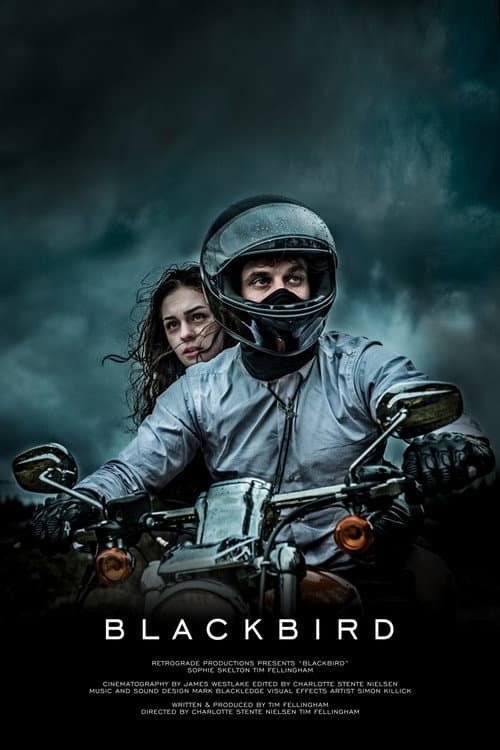 Постер: Blackbird